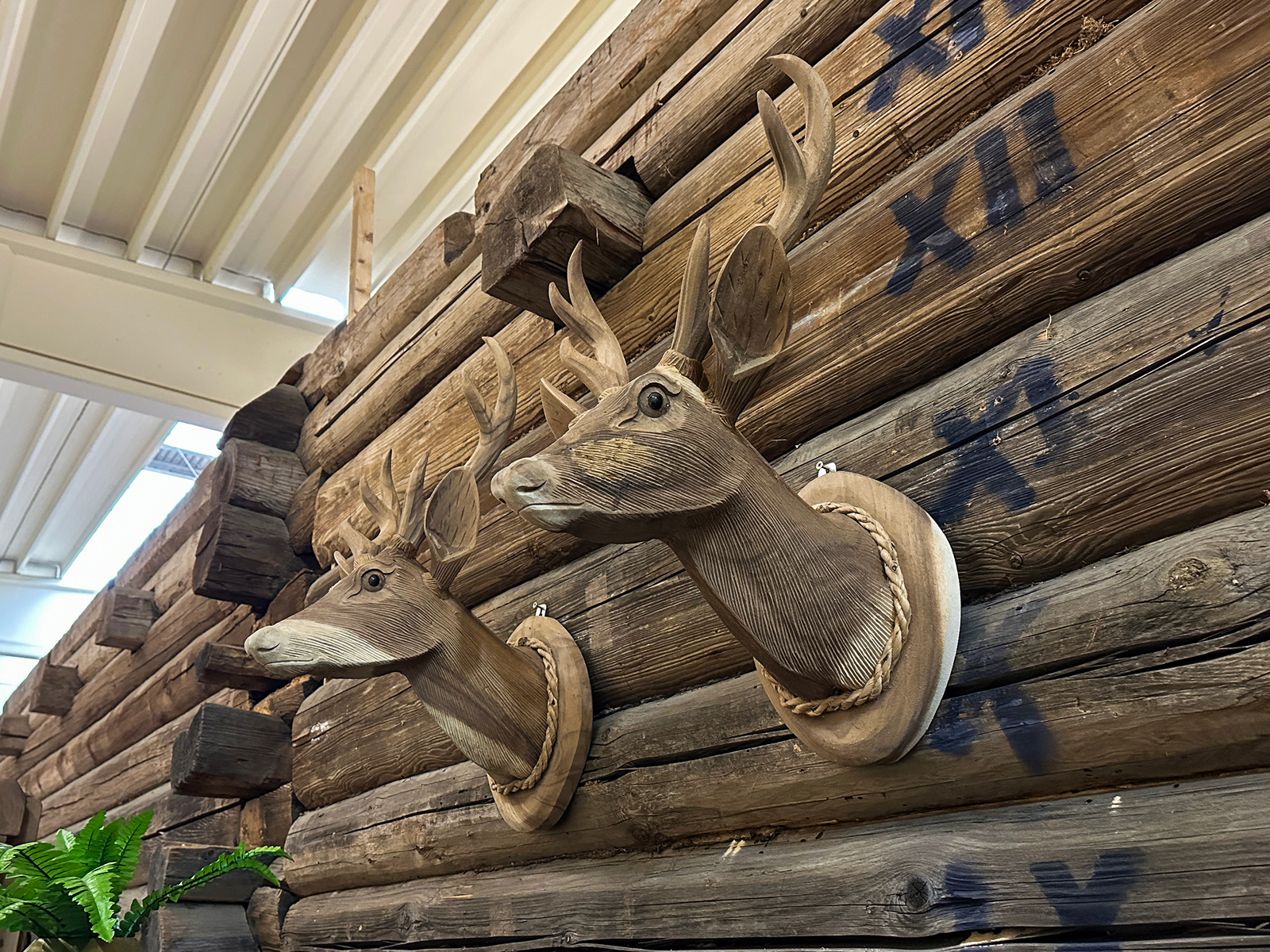 Houten hertenkop te koop bij bouwie uniek houtsnijwerk