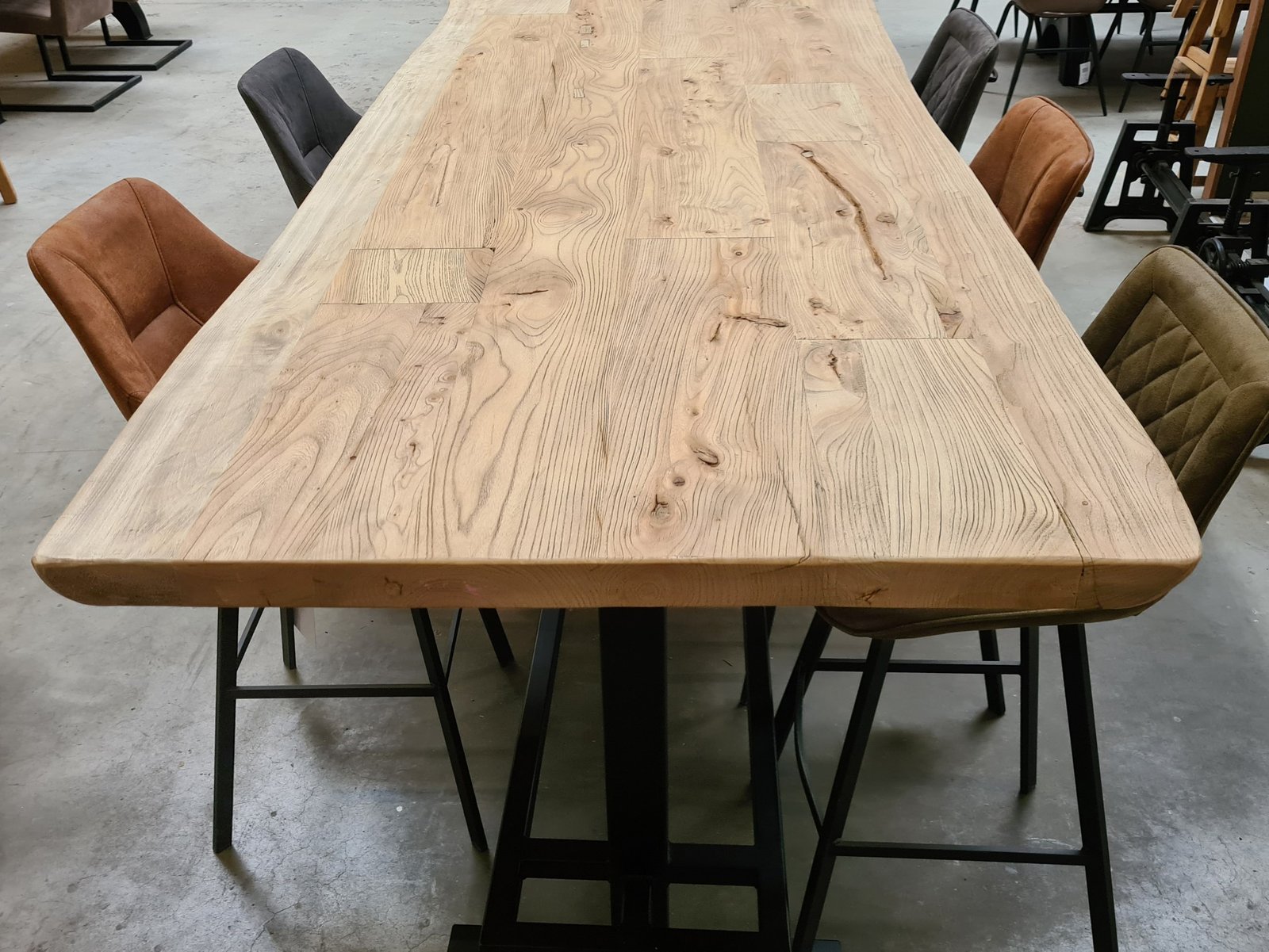 Boomstam Elmwood 5 cm 2024 2 (Aangepast)